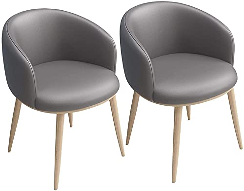 JIESOO Esszimmermöbel Esszimmerstühle Set mit 2 Stühlen für Küche, Wohnzimmer, Theke, Ecke, Freizeitstühle mit Metallbeinen, Sitz und Rückenlehnen aus PU-Leder (grau) von JIESOO