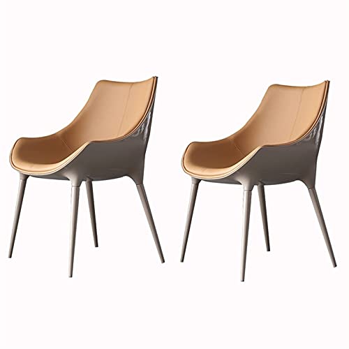 JIESOO Esszimmermöbel Moderne Esszimmerstühle 2er Set Wohnzimmer Lounge Stuhl Leder Sitz und Rückenlehne mit massiven Stahlbeinen für Wohnzimmer Schlafzimmer Hotel(A) von JIESOO