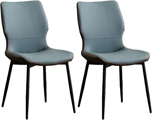 JIESOO Esszimmerstühle 2er-Set Esszimmerstühle Küche Mit Metallbeinen Beistellstuhl Aus Kunstleder(Green) von JIESOO