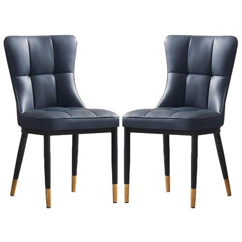 JIESOO Esszimmerstühle 2er-Set Esszimmerstuhl mit Kunstlederbezug mit Hoher Rückenlehne Und Metallbeinen for Wohnzimmer Schlafzimmer Küche Büro, Hotels(Blue) von JIESOO