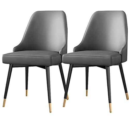 JIESOO Küche Esszimmerstühle 2er-Set Stühle Mit Akzent Aus Kunstleder Wohnzimmerstühle Wasserdichter Beistellstuhl Aus PU-Leder Mit Metallbeinen(Grey) von JIESOO