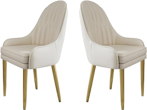 JIESOO Küchen Esszimmerstühle 2er-Set Moderne Mikrofaser-Leder Gepolsterte Esszimmerstühle mit Metallbeinen Und Ergonomischer Rückenlehne for Wohnzimmer Esszimmer Schlafzimmer(B) von JIESOO