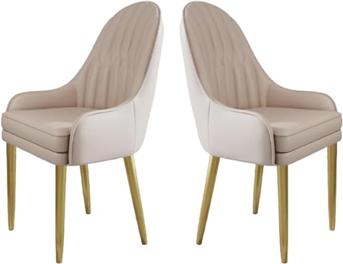 JIESOO Küchen Esszimmerstühle 2er-Set Moderne Mikrofaser-Leder Gepolsterte Esszimmerstühle mit Metallbeinen Und Ergonomischer Rückenlehne for Wohnzimmer Esszimmer Schlafzimmer(C) von JIESOO