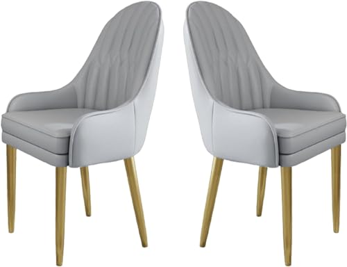 JIESOO Küchen Esszimmerstühle 2er-Set Moderne Mikrofaser-Leder Gepolsterte Esszimmerstühle mit Metallbeinen Und Ergonomischer Rückenlehne for Wohnzimmer Esszimmer Schlafzimmer(E) von JIESOO