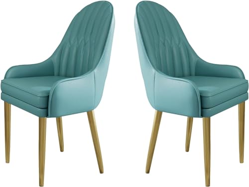 JIESOO Küchen Esszimmerstühle 2er-Set Moderne Mikrofaser-Leder Gepolsterte Esszimmerstühle mit Metallbeinen Und Ergonomischer Rückenlehne for Wohnzimmer Esszimmer Schlafzimmer(I) von JIESOO