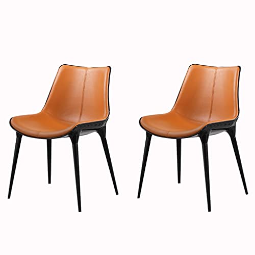 JIESOO Moderne Esszimmerstühle, 2er-Set, Ledersitz und Rückenlehne, Küchenstühle mit massiven Stahlbeinen, für Wohnzimmer, Schlafzimmer, Esszimmer (C) von JIESOO
