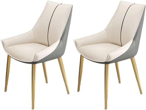 JIESOO Moderne Küchen-Esszimmerstühle 2er-Set Esszimmer- Und Küchenstühle Aus Kunstleder mit Gepolstertem Kissensitz Und Metallbeinen for Wohnzimmer Und Esszimmer(C) von JIESOO