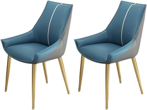 JIESOO Moderne Küchen-Esszimmerstühle 2er-Set Esszimmer- Und Küchenstühle Aus Kunstleder mit Gepolstertem Kissensitz Und Metallbeinen for Wohnzimmer Und Esszimmer(F) von JIESOO