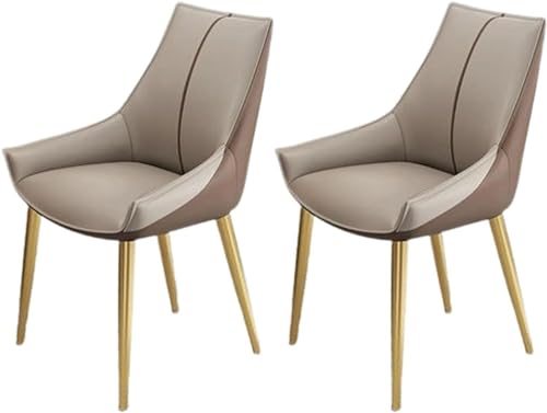 JIESOO Modernes Beistellstuhl-Set mit 2 Stühlen Esszimmer- Und Küchenstühle Kunstleder Mit Gepolstertem Kissensitz Und Metallbeinen for Wohnzimmer Und Esszimmer(E) von JIESOO