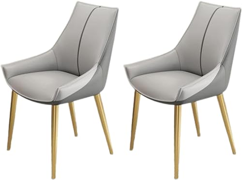 JIESOO Modernes Beistellstuhl-Set mit 2 Stühlen Esszimmer- Und Küchenstühle Kunstleder Mit Gepolstertem Kissensitz Und Metallbeinen for Wohnzimmer Und Esszimmer(G) von JIESOO