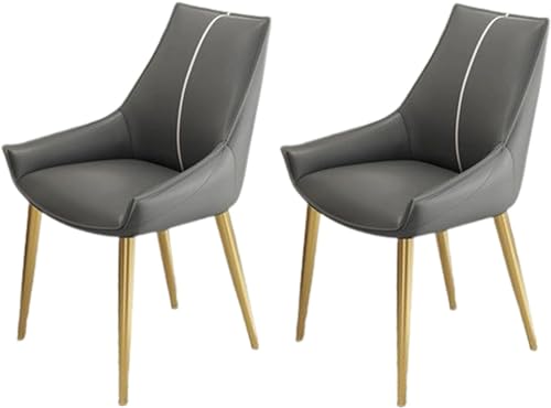 JIESOO Modernes Beistellstuhl-Set mit 2 Stühlen Esszimmer- Und Küchenstühle Kunstleder Mit Gepolstertem Kissensitz Und Metallbeinen for Wohnzimmer Und Esszimmer(H) von JIESOO