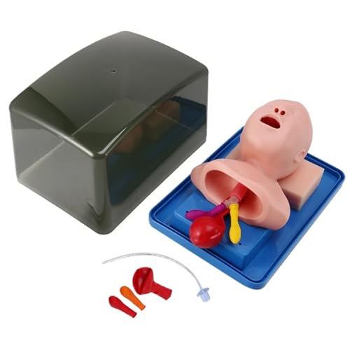 JIEXUHDE Anatomie Neugeborene Modell, Säuglings Intubationspuppe, Luftröhren Intubationsmodell Für Säuglinge, PVC Intubationspuppe Für Intubationstraining Schulungskrankenschwestern von JIEXUHDE