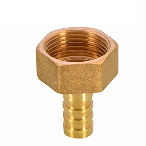 JIEYUZYUO Pc Pcf Pl Plf Pagodenverschraubung, 6 Mm Schlauchverschraubung, Schlauchverschraubung, Gewinde 1/8 1/4 3/8 1/2 Bsp, Messing-Rohrverschraubung/Femal/1/8" JIEYUZYUO Pc Pcf Pl Plf Pagodenverschraubung, 6 Mm Schlauchverschraubung, Schlauchverschraubung, Gewinde 1/8 1/4 3/8 1/2 Bsp, Messing-Rohrverschraubung/Femal/1/8" von JIEYUZYUO