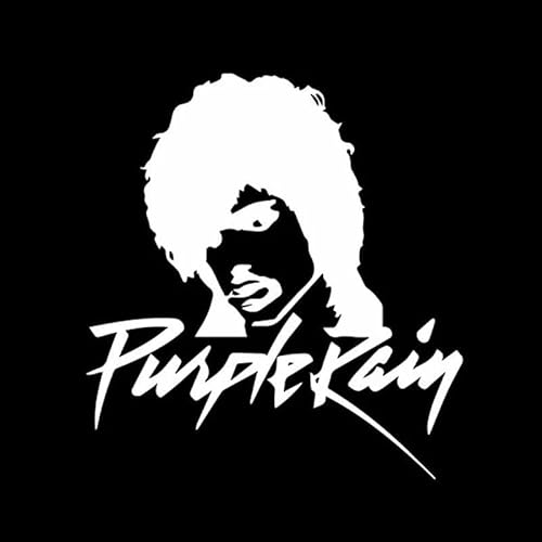 JIFENLI Autoaufkleber 15,2 cm * 16,3 cm Sänger Kompetenz in allen Arten von Musikinstrumenten Prinz Vinly Aufkleber Auto Aufkleber Schwarz/Silber JIFENLI Autoaufkleber 15,2 cm * 16,3 cm Sänger Kompetenz in allen Arten von Musikinstrumenten Prinz Vinly Aufkleber Auto Aufkleber Schwarz/Silber von JIFENLI