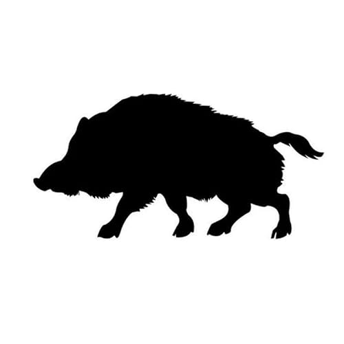 JIFENLI Autoaufkleber 15 * 7,5 cm Spaß Tiere Wildschwein reflektierende Auto Styling Auto Aufkleber und Aufkleber Schwarz/Silber JIFENLI Autoaufkleber 15 * 7,5 cm Spaß Tiere Wildschwein reflektierende Auto Styling Auto Aufkleber und Aufkleber Schwarz/Silber von JIFENLI