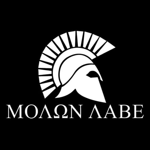 JIFENLI Autoaufkleber 15cm * 9,6cm Spartaner Helm Pistole Spartaner Helm 2nd Amendment Auto Aufkleber Schwarz/Silber JIFENLI Autoaufkleber 15cm * 9,6cm Spartaner Helm Pistole Spartaner Helm 2nd Amendment Auto Aufkleber Schwarz/Silber von JIFENLI