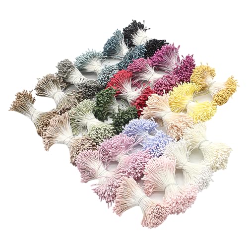 JIHUOO 1800 Stücke Doppelköpfe Blumen Staubblätter Künstliche Staubblatt Stempel Pistil für Handwerk Dekorative JIHUOO 1800 Stücke Doppelköpfe Blumen Staubblätter Künstliche Staubblatt Stempel Pistil für Handwerk Dekorative von JIHUOO