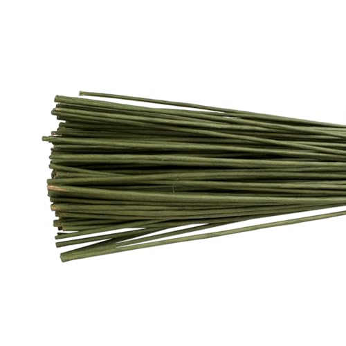 JIHUOO 60 Stück 40 cm dicke Blumendrahtstiele Papierblumendrahtstiele Bastelblumenstiele Floristenstraußstiele Blumenarrangement Zubehör grün JIHUOO 60 Stück 40 cm dicke Blumendrahtstiele Papierblumendrahtstiele Bastelblumenstiele Floristenstraußstiele Blumenarrangement Zubehör grün von JIHUOO