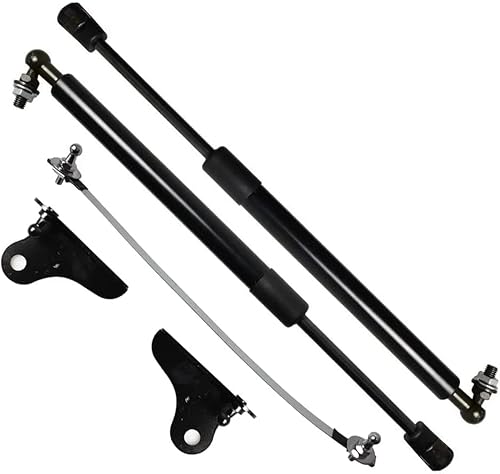 JIMORY 2 Pcs Motorhaubendämpfer Gasdruckfeder für Mazda CX30 2019-2022 Fronthaube Modify Stoßdämpfer Lift Support Gasfedern Kit Stäbe Kohlefaser von JIMORY