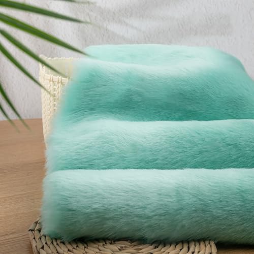 Kurzer Plüsch 2cm zottelig Kunstpelz Stoff（20cm*50cm） Kunstpelz Nähen Stoff Cosplay Kostüm Handtaschen Hüte Dekorationen Teppiche DIY Crafts Craft Supply(2 Light green) von JINDAOSH