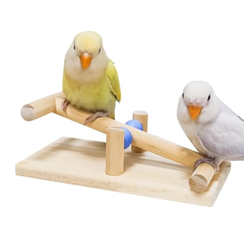 JINGLING Vogelspielzeug | Wippe aus Holz für Wellensittiche – Interaktives Trainingswerkzeug für Übung und Gleichgewichts-Spielzeug für Ara, Nymphensittiche, Wellensittiche JINGLING Vogelspielzeug | Wippe aus Holz für Wellensittiche – Interaktives Trainingswerkzeug für Übung und Gleichgewichts-Spielzeug für Ara, Nymphensittiche, Wellensittiche von JINGLING
