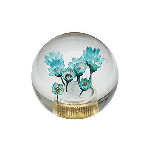 JINGLINGKJ Schaltknauf Geschenke für Freundin Blume in Bubble Water Stick MT bei Universal Transparent Acryl Schaltknauf Kopf Autoteile (Blau) von JINGLING