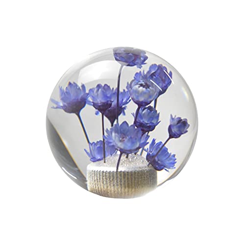 JINGLINGKJ Schaltknauf Geschenke für Freundin Blume in Bubble Water Stick MT bei Universal Transparent Acryl Schaltknauf Kopf Autoteile (Violett) von JINGLING