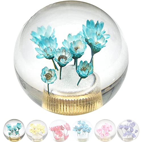 JINGLING Underwater Flower Schaltknauf Flower in Bubble Water Stick AT MT Universelle transparente Kugel Schalthebelkopf Autoteile mit 3 Arten von Adaptern (Blau) von JINGLINGKJ