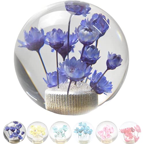 JINGLING Underwater Flower Schaltknauf Flower in Bubble Water Stick AT MT Universelle transparente Kugel Schalthebelkopf Autoteile mit 3 Arten von Adaptern (Lila) von JINGLING