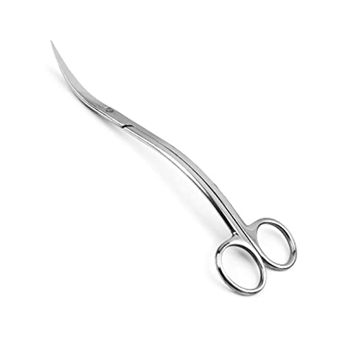 JINGYAN Baumscheren & Gartenscheren 1pc Stainless Steel Wave Scissors Aquarium Tank Aquatic Plant Tongs Curved Clean Tools von JINGYAN