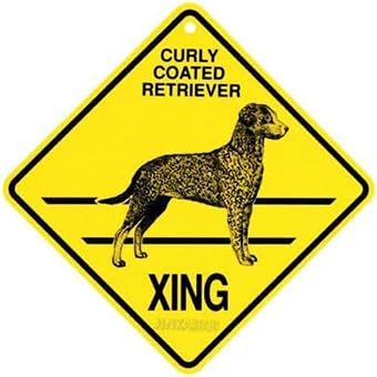 JINKAIRUI Lockiges Metallschild, Retriever Xing mit Vorsicht, für Zuhause, Büro, Bar, Wanddekoration für drinnen und draußen, Schild JINKAIRUI Lockiges Metallschild, Retriever Xing mit Vorsicht, für Zuhause, Büro, Bar, Wanddekoration für drinnen und draußen, Schild von JINKAIRUI