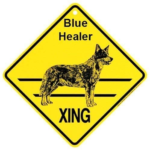 JINKAIRUI Metallschild als Wanddekoration – Hund mit Vorsicht – für Zuhause, Büro, Bar, Innen- und Außenbereich, quadratisch, 20,3 x 20,3 cm JINKAIRUI Metallschild als Wanddekoration – Hund mit Vorsicht – für Zuhause, Büro, Bar, Innen- und Außenbereich, quadratisch, 20,3 x 20,3 cm von JINKAIRUI