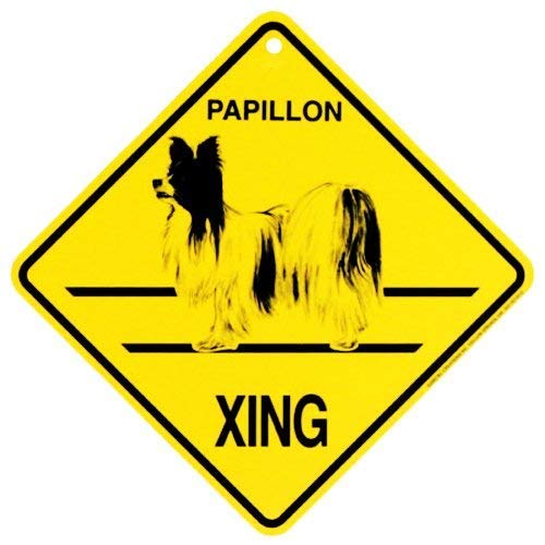 JINKAIRUI Papillon Xing Caution Crossing Dog Blechschild, Geschenk für Zuhause, Büro, Bar, Wanddekoration für Innen- und Außenbereich, quadratisch, 20,3 x 20,3 cm JINKAIRUI Papillon Xing Caution Crossing Dog Blechschild, Geschenk für Zuhause, Büro, Bar, Wanddekoration für Innen- und Außenbereich, quadratisch, 20,3 x 20,3 cm von JINKAIRUI