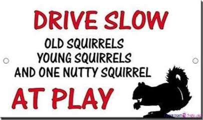JINKAIRUI Straßenschild Warnschild Drive Slow Old Young Nutty Squirrels at Play Metall-Blechschild Wandkunst Dekor Sicherheitswarnschilder für Außen- und Innenbereich, Büroschild 20,3 x 30,5 cm JINKAIRUI Straßenschild Warnschild Drive Slow Old Young Nutty Squirrels at Play Metall-Blechschild Wandkunst Dekor Sicherheitswarnschilder für Außen- und Innenbereich, Büroschild 20,3 x 30,5 cm von JINKAIRUI
