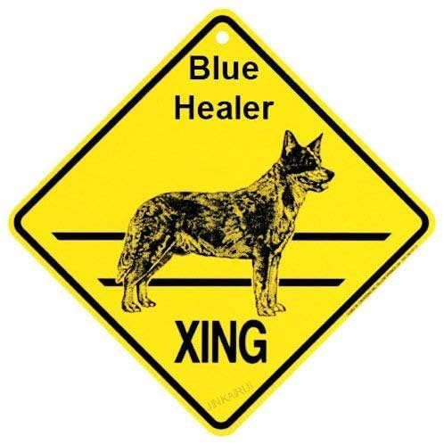 Metall-Blechschild mit Aufschrift "Blue Heeler Xing Caution Crossing", Geschenk für drinnen und draußen, Wanddekoration, 20,3 x 20,3 cm, quadratisches Schild Metall-Blechschild mit Aufschrift "Blue Heeler Xing Caution Crossing", Geschenk für drinnen und draußen, Wanddekoration, 20,3 x 20,3 cm, quadratisches Schild von JINKAIRUI