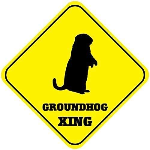Metallschild aus Zinn für Murmeltier-Kreuze, quadratisch, für Kinderzimmer, Türschild für Zuhause, Büro, Bar, Wanddekoration für drinnen und draußen, Schild Metallschild aus Zinn für Murmeltier-Kreuze, quadratisch, für Kinderzimmer, Türschild für Zuhause, Büro, Bar, Wanddekoration für drinnen und draußen, Schild von JINKAIRUI