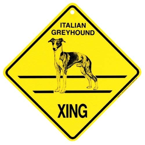 Metallschild aus italienischem Zinn, Greyhound Xing Caution Crossing Dog Gift Sign für Zuhause, Büro, Bar, Wanddekoration für drinnen und draußen, quadratisch, 20,3 x 20,3 cm Metallschild aus italienischem Zinn, Greyhound Xing Caution Crossing Dog Gift Sign für Zuhause, Büro, Bar, Wanddekoration für drinnen und draußen, quadratisch, 20,3 x 20,3 cm von JINKAIRUI