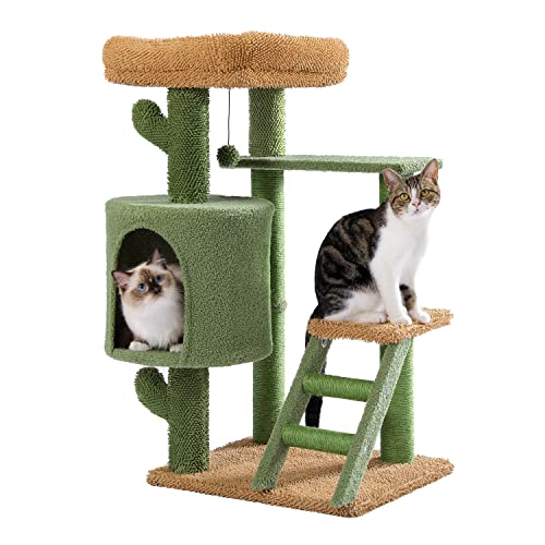 Cat Tree Cat Tree -Kombinationsturm mit Kratzerpfosten nie Beauty Comes Cat Tree Cat Tree -Kombinationsturm mit Kratzerpfosten nie Beauty Comes von JINMUXUAN