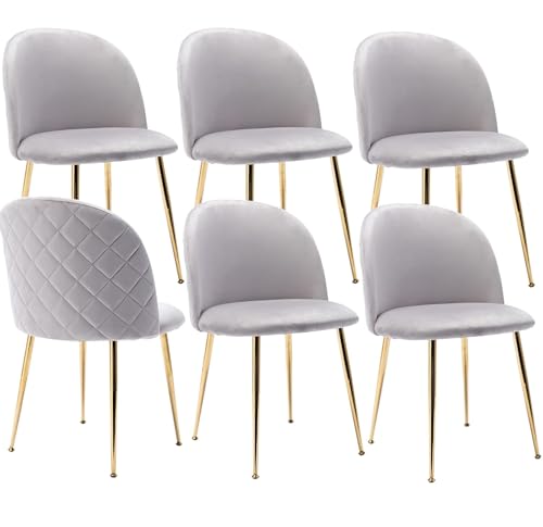JINPALAY 6er Set Esszimmerstühle Grau Samt Küchenstuhl Polsterstuhl mit Rückenlehne Sessel Moderner Wohnzimmer Stuhl Goldene Beine (6, Grau) von JINPALAY