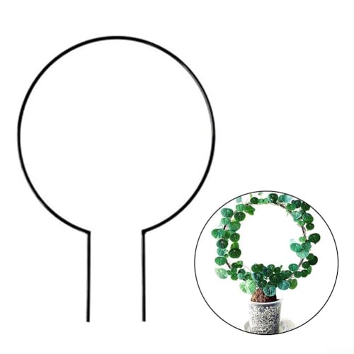 Pflanzenstütze in Herzform für verschiedene Garten- und Blütenpflanzen (rund) von JINSBON