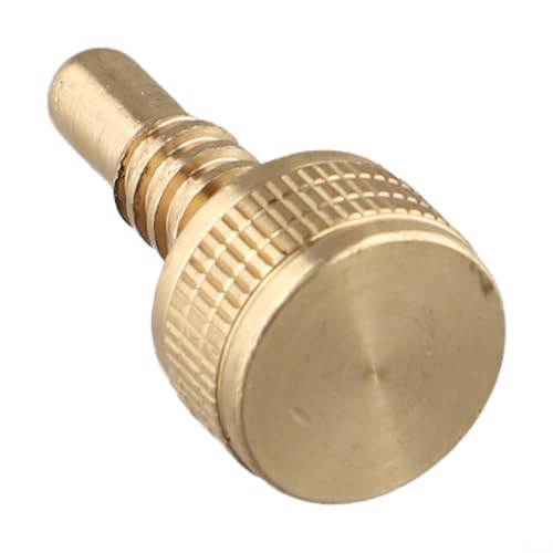 Pool-Queue-Verlängerungsschraube, Messing-Billardqueue-Verlängerungsschraube, für Snooker-Tischausrüstung, goldfarben, 17 mm (für NJ Queue) von JINSBON