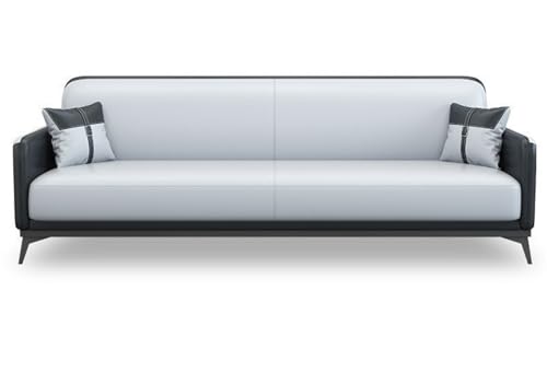 JINSHANLIANG SHKS Büro-, Heim- und Geschäftssofa, Mehrsitzer, Ledersofa (180 x 84 x 83 cm) von JINSHANLIANG