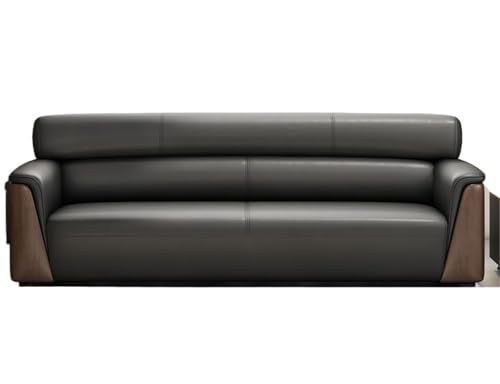 JINSHANLIANG Schlichtes modernes Freizeit-Minimalistisches Business-Sofa (190 x 81 x 85 cm) von JINSHANLIANG