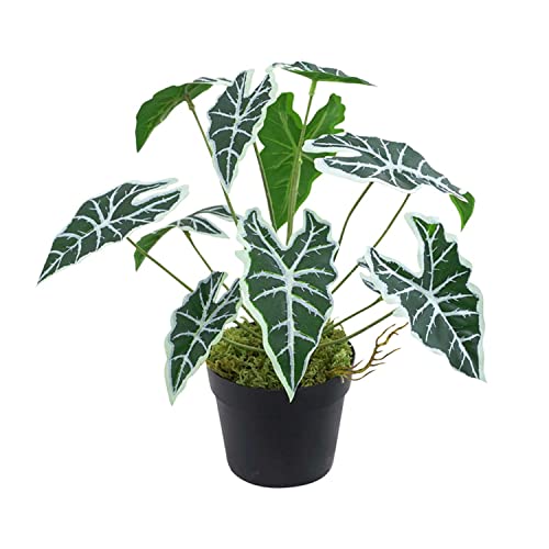 JINXIAN Guanyin Lotus Topfpflanze Künstlich Eingetopft Monstera 26cm, Hochrealistisch Plastik Kunstpflanze Dekopflanze Tropische Künstliche Pflanzen Deko im Topf für Heim Büro Bad Küche und Indoor von JINXIAN