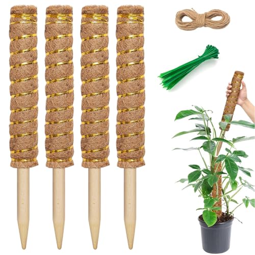 JINYJIA Rankhilfe Monstera,4 Stück 40CM Monstera Rankhilfe,Pflanzstab,Moosstab für Monstera,Moosstab Rankstäbe aus Natürlicher Kokosfaser,für Garten Kletterpflanzen Zimmerpflanzen von JINYJIA