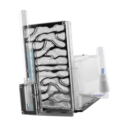 JISADER , Lebensraum, DIY Ameisenfarm, für Kindertag, Schlafzimmer, Wissenschaftliches Beobachtungshaus, Schwarz JISADER , Lebensraum, DIY Ameisenfarm, für Kindertag, Schlafzimmer, Wissenschaftliches Beobachtungshaus, Schwarz von JISADER