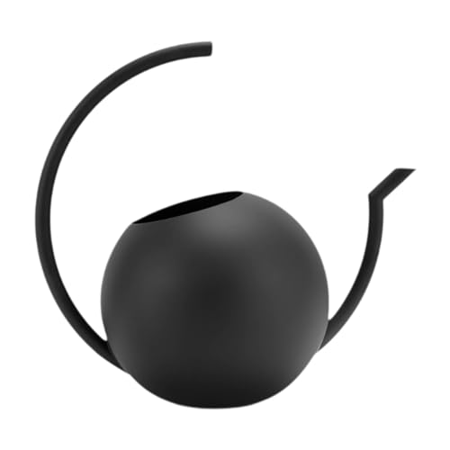 JISADER Bonsai-Gießkanne, Blumentopfflasche, Edelstahl mit ergonomischem Griff, 1 l Gießkanne für Büro und Außenbereich von JISADER