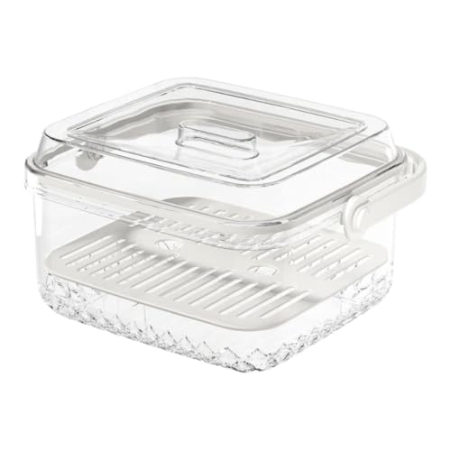 JISADER Transparente Obst Und Gemüseaufbewahrungsbox, Lebensmittelbehälter, Multifunktionsbox für Outdoor Buffet, 21cmx19cmx13cm von JISADER