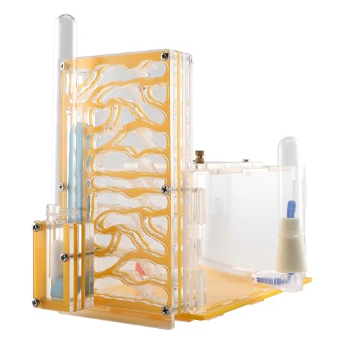 JISADER Transparentes für Pädagogische Zwecke Und Als Geburtstagsdekoration, Gelb JISADER Transparentes für Pädagogische Zwecke Und Als Geburtstagsdekoration, Gelb von JISADER