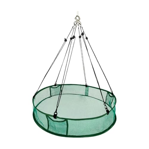 JISADER Wildvogelfänger, Aufhängebügel, Groß, Universell, für Vogelfutter, Bienenfutter, Mehrfarbig, 41cmx11cm JISADER Wildvogelfänger, Aufhängebügel, Groß, Universell, für Vogelfutter, Bienenfutter, Mehrfarbig, 41cmx11cm von JISADER